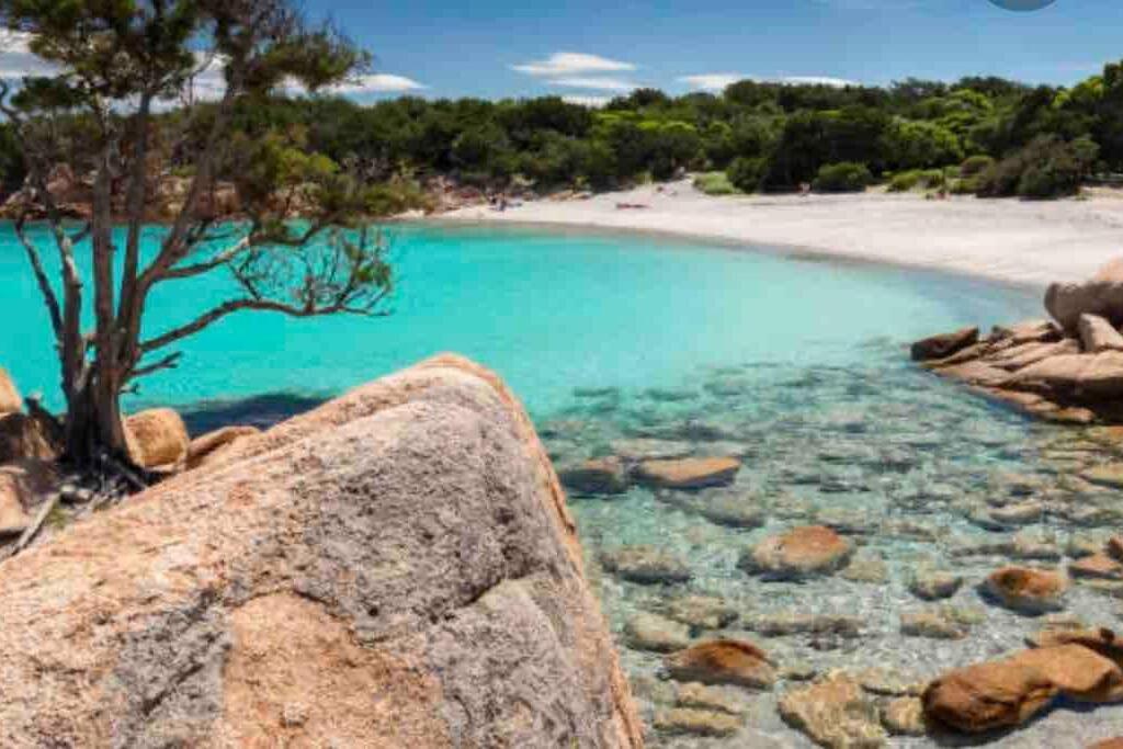 Blu Apartment: Vista Mare - Posizione Strategica